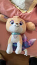 汪汪队立大功（PAW PATROL）狗狗巡逻队毛绒玩具男女孩可爱小狗玩偶公仔儿童节礼品生日礼物 汪汪队毛绒22.5cm-中号珊瑚 cm 实拍图