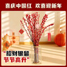 【银柳送挂饰】年宵花⭐真花鲜枝红色客厅室内干花盆栽摆件水培 【20枝】招财银柳-送新春挂件 60cm 实拍图