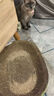 超大猫窝猫抓板一体耐磨不易掉屑猫咪窝磨爪耐抓保护沙发防猫抓圆形猫爪盆猫玩具 大号圆碗（适合十斤）圆形48*48 实拍图