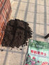 沃思林通用花土大包有机营养种菜养花种花专用种植土壤绿萝泥炭土思威博 40斤精制营养土养花专用型已杀菌 实拍图