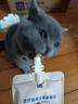 优基猫酱全价主食舔舔酱咕噜酱包无谷鸡肉鹌鹑乳鸽配方成猫幼猫湿猫粮 鸡肉乳鸽鹌鹑配方 1包(体验) 实拍图