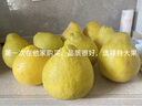 迭果合江真龙柚子四川泸州脆香甜柚子新鲜水果沙田柚清甜多汁不酸 6个精选礼盒装15斤 实拍图