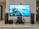 惠威（HiVi） D50HT+Sub10G+天龙X540功放 音响 家庭影院套装5.1声道HIFI木质客厅电视落地音箱 晒单实拍图