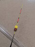 民间艺人咬钩变色夜光漂日夜两用电子漂高灵敏醒目鱼漂大物黑坑夜钓浮漂 HK31长36.0吃铅1.4极细尾变色漂 实拍图