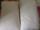 贝初众枕头大豆蛋白纤维护颈椎枕一对装深度舒适睡眠枕芯家用宿舍枕头 两只装-中枕48*74*10cm B类 一对 实拍图