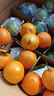 生活＆好管家 四川春见耙耙柑爆浆大果新鲜水果礼盒应季橘子现摘柑橘子桔子 净重3斤【尝鲜装】 果径70-75mm【中果】 实拍图