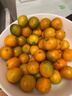 探味君 广西脆皮小金桔 应当季脆蜜滑黄皮小金桔橘桔子融安新鲜水果 净重1斤 小果（约55-70个/斤） 实拍图