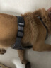 PEITE PET狗狗牵引绳中大型犬狗绳牵引绳背心式反光胸背带柴犬柯基遛狗绳 深蓝胸背带（+1.5米牵引绳） M（建议12-32斤） 实拍图
