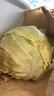 诸氏橙品【有机】绿甘蓝 新鲜蔬菜包菜卷心菜圆白菜 凉拌沙拉食材有机蔬菜 （3份*500g/份）凉拌伴侣 实拍图