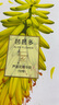 芭芭多（babado）芦荟花精华胶[10号] 芦荟凝胶120ml 120g 实拍图