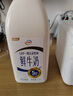 伊利鲜牛奶大桶装1.5L 巴氏杀菌低温鲜奶 新鲜生牛乳 营养早餐 鲜牛奶1.5Lx1桶 实拍图