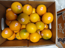 褚橙 云南冰糖橙  优级果 L 10斤装装 单果约130g起 生鲜水果礼盒 实拍图