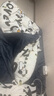 雅鹿牛奶绒四件套冬季加厚保暖法兰绒床单被套珊瑚绒床笠被罩床上用品 嗨皮狗【加绒加厚 蓄热保暖】 1.8m 床单款 四件套-被套200*230cm 实拍图