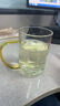 万佳臻 茶杯茶水分离杯玻璃带把泡茶杯大容量绿茶杯喝茶杯办公室水杯 厚底云雾杯|黄把|400ml 实拍图