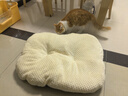 梵都宠舍狗窝垫子睡垫加厚加绒可水洗猫床垫冬季保暖猫咪睡觉用垫子大号 实拍图