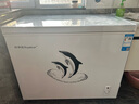 荣事达（Royalstar）冰柜商用大容量全冷冻卧式冰柜家用冷藏冷冻两用冷柜双温商用大冰柜冷冻柜展示柜 268升单温【一级能效】 实拍图