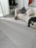 地毯客厅2025新款高级沙发茶几毯奶油风卧室房间全铺隔音免洗地垫 聆听-悠扬 140cm*200cm【环保无异味】 实拍图