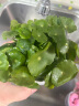 鑫干和铜钱草水培盆栽室内室外花卉金钱草绿植吸绿植花草植物 铜钱草【两盆不含盆约600株】带叶 实拍图