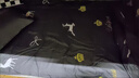 浪莎（LangSha）被子被芯四件套枕头被褥全套学生宿舍单双人床上用品全套一整套 驯鹿 单人宿舍被芯1.5*2.0 4斤七件套 实拍图