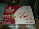伊利4月新货伊利谷粒多250ml*16盒红豆黑豆燕麦营养谷物牛奶整箱装 【2月产】红谷250ml*16盒 实拍图
