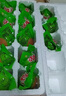 岽鲜活珠子新鲜13天五香香辣味开袋即食毛蛋活珠子鸡胚蛋熟钢化蛋鸡蛋 五香活珠子30枚1200g 实拍图