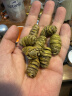 匠界养生茶铁皮石斛西洋参组合茶送妈妈长辈老年人实用养生茶160g/盒 实拍图