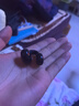 夹耳式蓝牙耳机骨传导概念无线不入耳运动防水降噪高音质超长续航适配于华为荣耀小米等 【长续航】单耳机夹黑色 实拍图