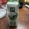 金典纯牛奶250ml*16盒/箱 优质乳蛋白 100%生牛乳 实拍图