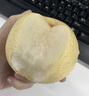 京鲜生 河北青皮皇冠梨 净重7斤单果300g+臻品水果礼盒生鲜水果源头直发 实拍图