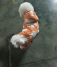 华元宠具（hoopet）狗狗衣服冬天保暖四脚羽绒服宠物小型犬比熊柯基棉服泰迪冬季衣服 【加厚加绒】四脚棉服 橘 XL：背长37cm【建议9-12斤】 实拍图