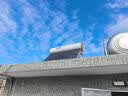 海尔（Haier）太阳能热水器家用一级能效专利聚热环WIFI自动上水光电两用 24管-185升-J6 实拍图
