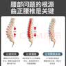 TEEIS 德国医用护腰带腰间盘健身突出运动收腹束腰带老人腰托腰封腰部 钢板支撑护腰带 XL码丨腰围3尺2以上丨170斤以上 实拍图