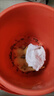 品云美宠白蟋蟀活体蛐蛐活物爬宠蜥蜴守宫鬃狮蜘蛛活食饲料 白蟋蟀0.3-0.7cm 50只 实拍图