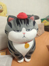吾皇猫公仔猫咪毛绒玩具陪睡超大玩偶娃娃生日38送女神节礼物夹腿长条抱 吾皇蹲姿公仔50cm 常规 实拍图