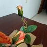 野派（yepai）玫瑰仿真花束假花绢花客厅装饰花瓶花艺摆件电视柜茶几绢花插花 1支 爱丽丝玫瑰/橘色 实拍图