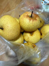 世果达正宗吉林延边州苹果梨霜后延吉龙井东北特产新鲜水果顺丰大白梨 5斤特大果【单果300g+】普快 实拍图