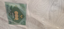 穗宝（SYMBOL） 环保椰棕床垫1.8*2米偏硬健脊纯椰棕薄垫榻榻米棕垫 南海椰歌5C 5cm-三地工厂就近发货 1.2米*2米 实拍图