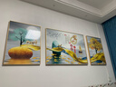 瑞尚（RUISHANG） 北欧客厅装饰画轻奢沙发背景墙挂画简约墙上壁画餐厅玄关墙画 家和富贵B 左右60*80+中间110*80晶瓷面金框 实拍图