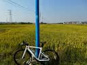 西骑者（WestBiking）自行车骑行包运动装备大容量骑行包单车轻便双肩包 绿色【可折叠】-10L 实拍图