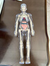 OEMG人体结构骨骼模型解剖可拆卸拼装内脏器官结构人体模型儿童玩具  全透明款-人体模型 【可视化，可拼装】 实拍图