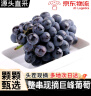 葡萄巨峰葡萄新鲜【顺丰/JD多地次日达】乒乓球夏黑葡萄水果 5斤精品装 一级果【颗颗甄选+保温箱】 实拍图