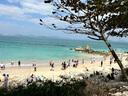 361°游泳浴巾男吸水速干健身跑步运动毛巾加大旅行青少年女度假沙滩巾 实拍图