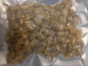 泰明扬新鲜活剥花甲肉蛤蜊肉250g/袋 冷冻无沙花蛤肉蚬子肉 花甲肉 1.25kg 【固形物80%】 实拍图