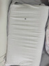懒熊特拉雷工艺乳胶枕波浪型枕头软硬适中睡眠枕午休高弹支撑单人 中枕 10cm 克重1100g(枕高10-12) 实拍图