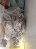北京同仁堂脂肪肝降脂茶甘油三酯搭口苦口臭屁多尿黄搭降血脂茶保肝茶清脂茶 【4盒装 160袋】11味针对性中药 无效全额退 实拍图