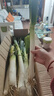鲜来拉山东大葱铁杆去皮新鲜蔬菜3斤5斤裁半叶葱现挖现发大葱 9斤装 实拍图