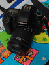 佳能/Canon 60D 70D 80D 77D 90D 二手单反相机 半画幅中端级数码相机 80D+18-55 IS STM 套机 95新 实拍图