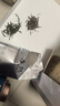 音朗茶叶绿茶 黄山毛峰 2025新茶雨前特级高山嫩芽茶叶礼盒2罐共150g 实拍图
