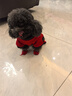 憨憨乐园狗狗猫咪衣服宠物泰迪幼犬柯基小型犬秋冬装服饰用品 招财款L号 实拍图