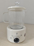 乐炖 养生壶迷你养生杯电炖杯办公室煮茶壶煮茶器小型一人花茶壶烧水壶电煮茶杯加热杯垫炖煮壶一体 【带礼品盒】机械0.6L养生壶 0.6L 加厚材质带三年以换代修 实拍图